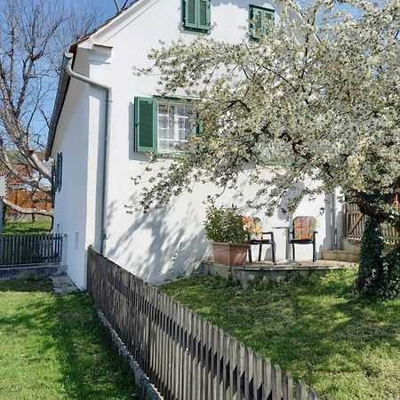 Ferienhaus Im Thermenland Ilz Eksteriør bilde