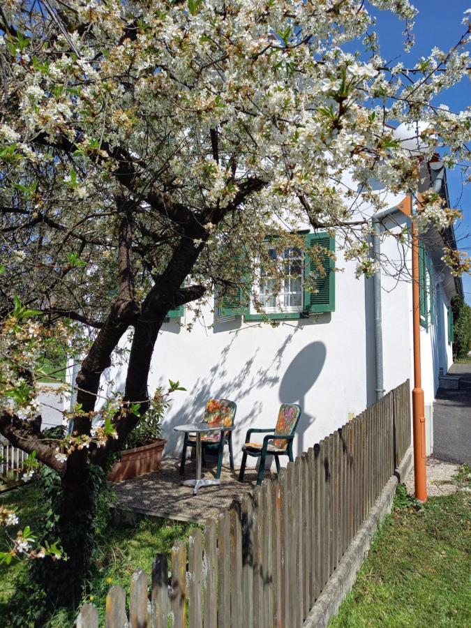 Ferienhaus Im Thermenland Ilz Eksteriør bilde