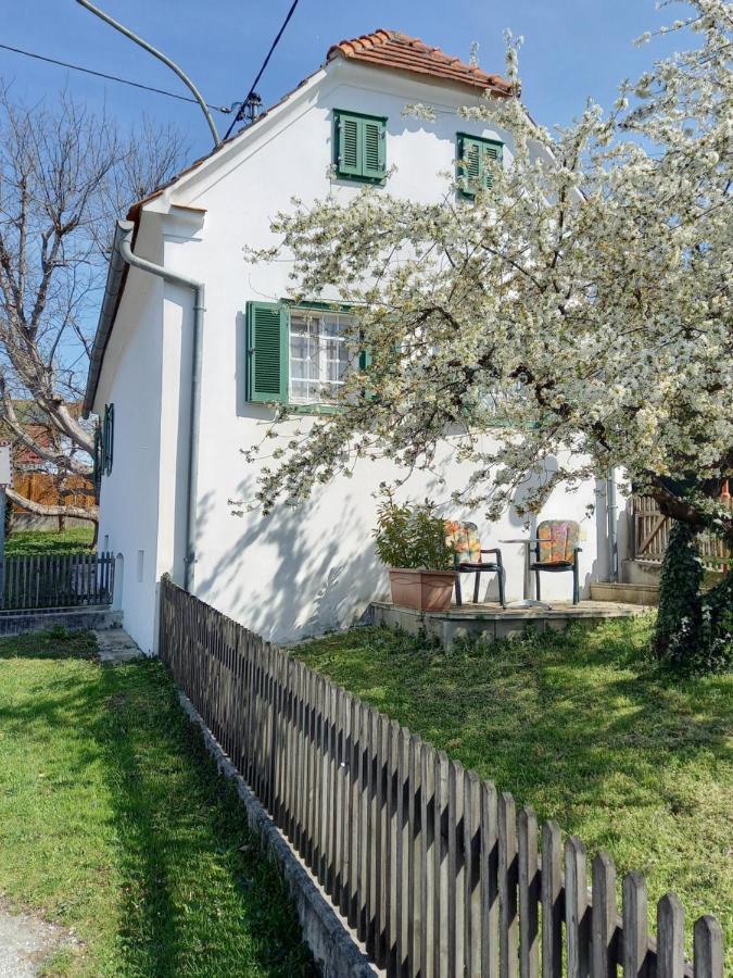 Ferienhaus Im Thermenland Ilz Eksteriør bilde